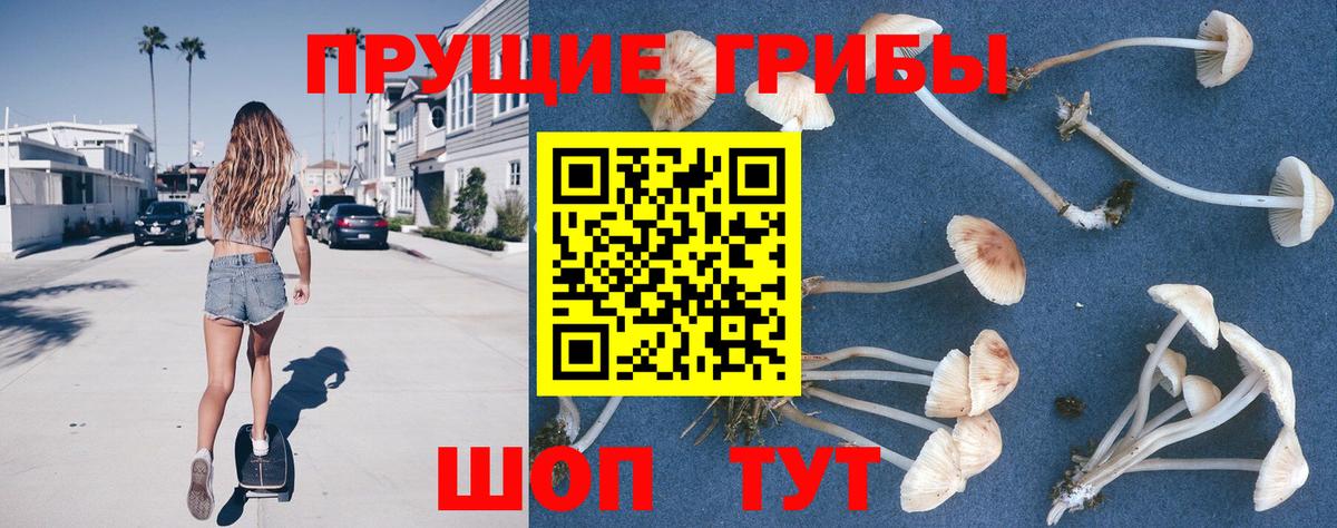 Галлюциногенные грибы ЛСД Сердобск