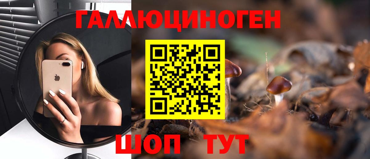 Сердобск  купить наркотики цена  Вход с VPN  Псилоцибиновые грибы Magic Shrooms  Псилоцибиновые грибы мухоморы 